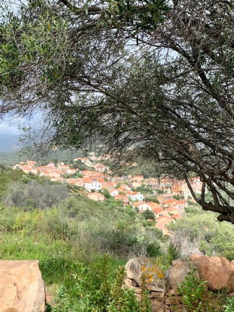 Residence Colombara Cargèse Dış mekan fotoğraf